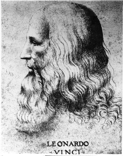 Portrait of Leonardo da Vinci, engraved by Francesco Bartolozzi by Italian School